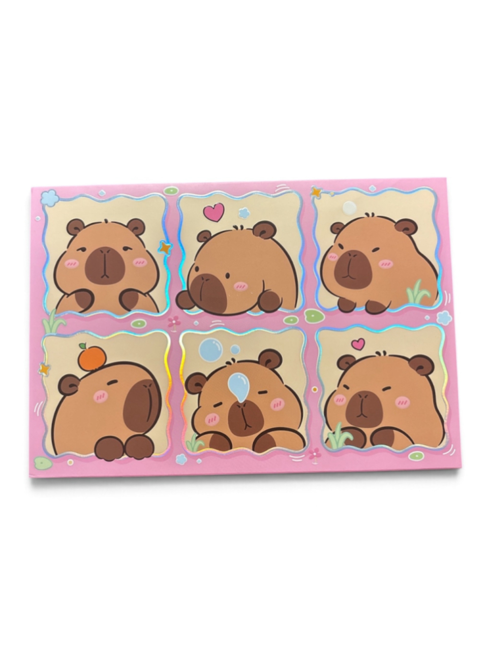 Capybara Eyeshadow Palette